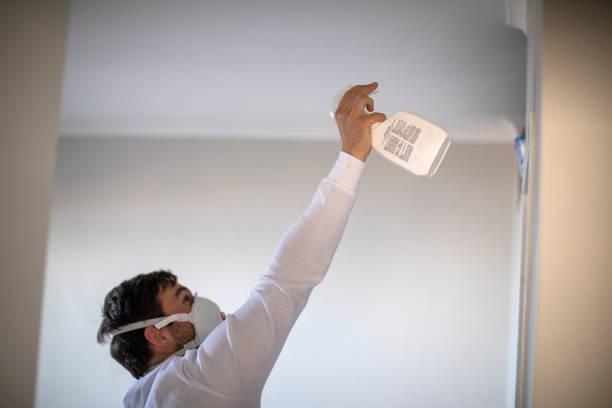 Best Fast Mold Removal  in Sanborn, NY