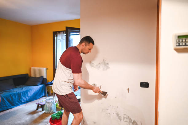 Attic Mold Removal in Sanborn, NY