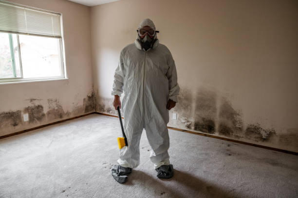Best Office Mold Removal Services  in Sanborn, NY
